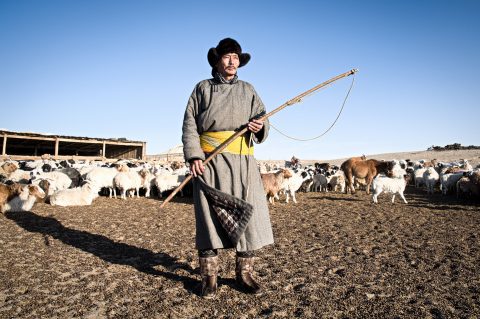 nomadi della mongolia