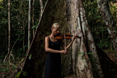 musica per le piante
