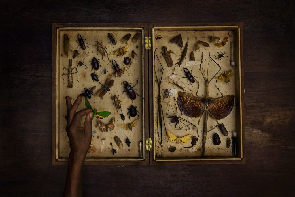 biodiversità