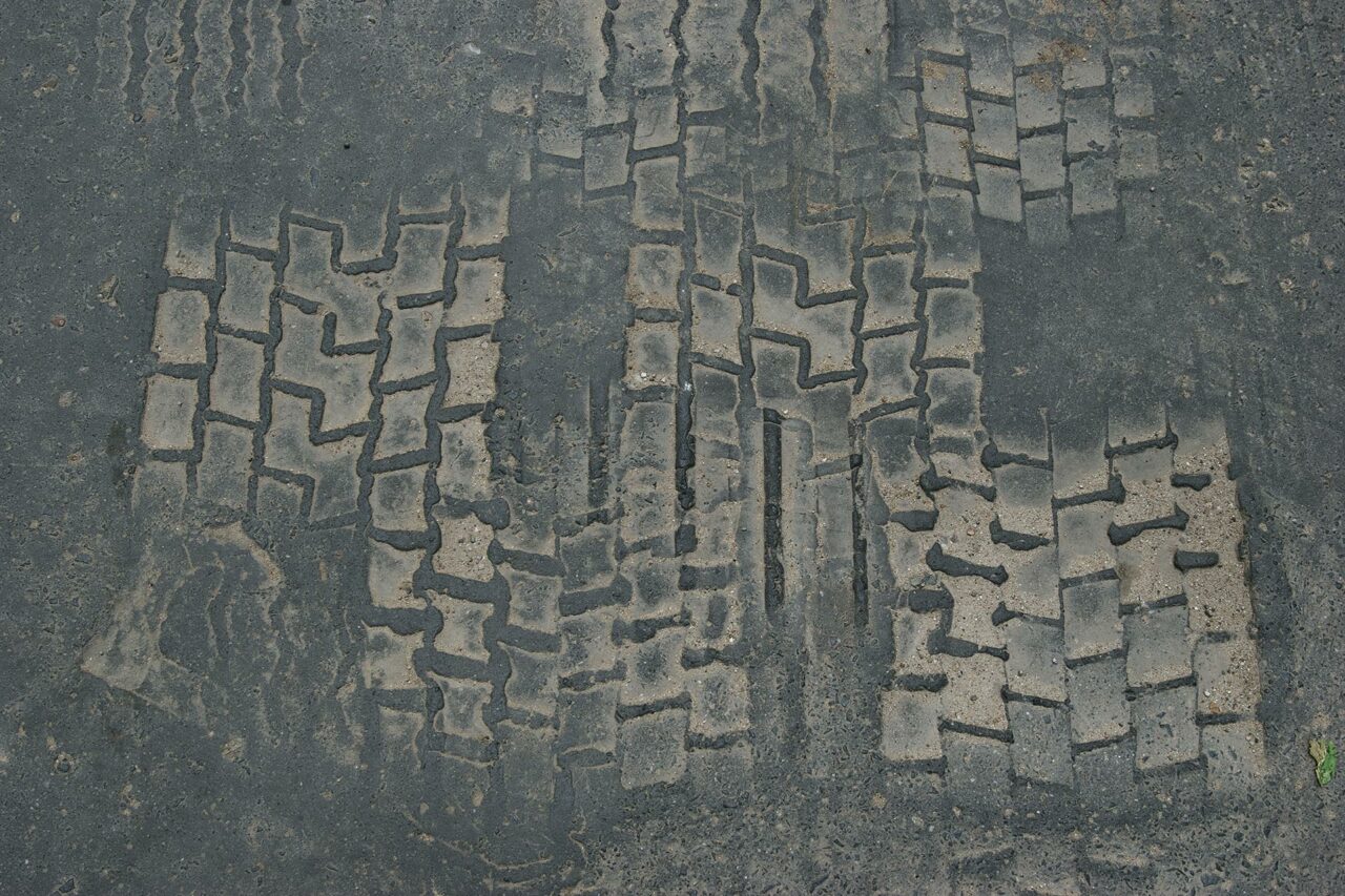 Fossili Urbani fossili urbani