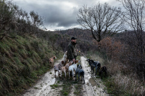 tartufo cambiamento climatico