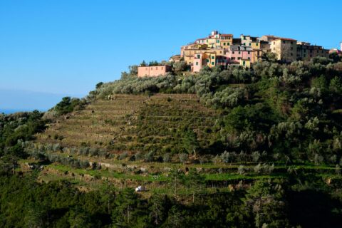 sistemazioni idraulico-agrarie